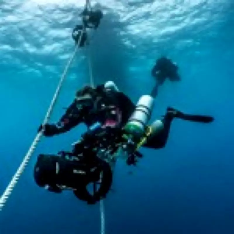 Diver Reveals Dangers of Maldives Shark Cave Where 6 Died