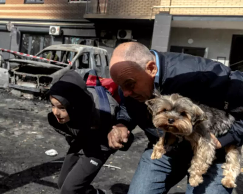 Drone Attacks in Kyiv and Swallow Nestlings: Photos of the Day