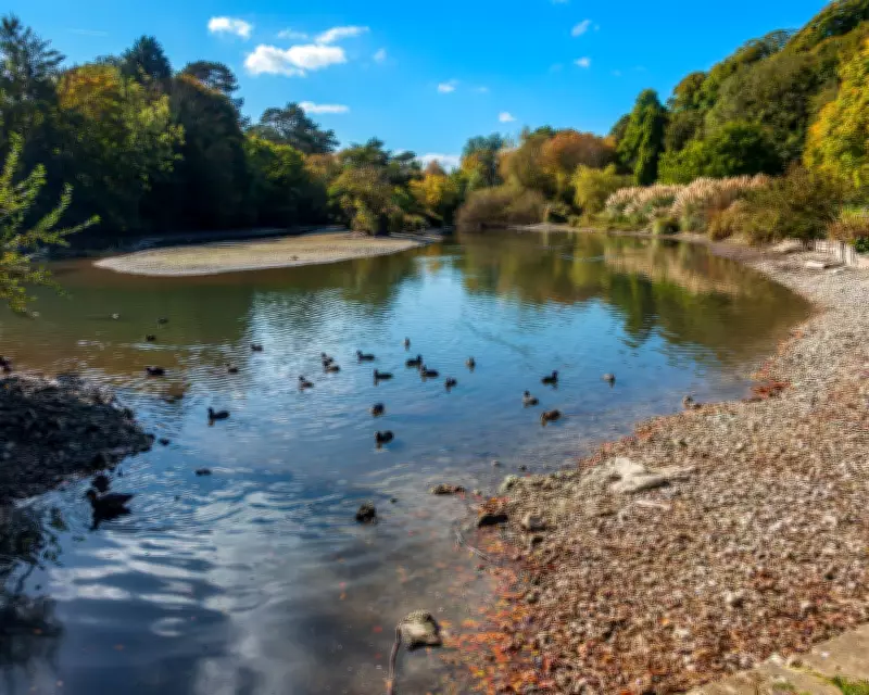Dry April Sparks Drought Fears in Central and Southern England