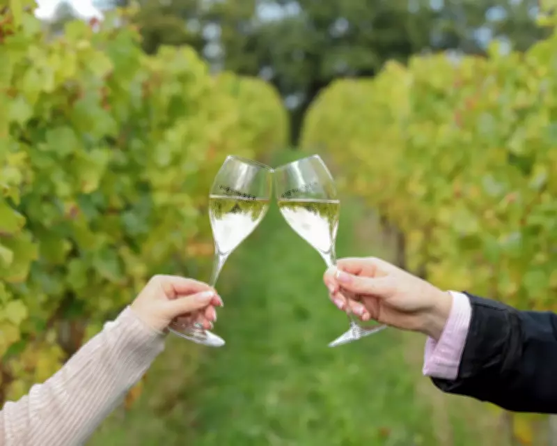 English Wines Toast Record Gold Medal Haul at International Wine Challenge