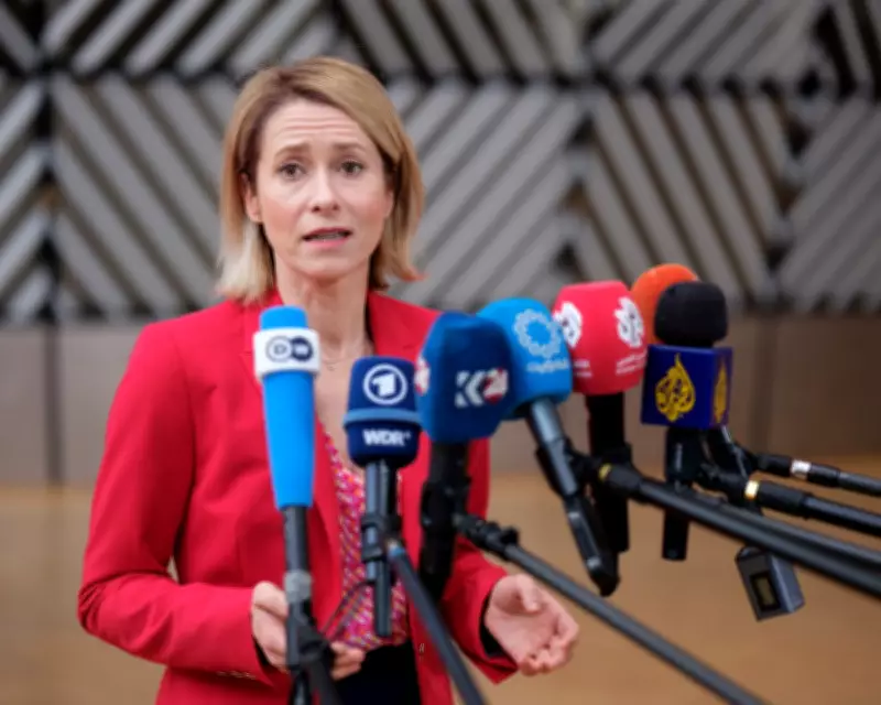 EU's Kallas Slams Putin's 'Cynical' Ceasefire Calls, Rejects Schröder as Ukraine Mediator