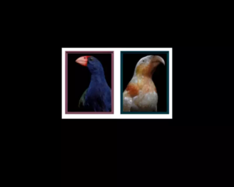 Fiona Pardington's Bird Portraits to Debut at 2026 Venice Biennale