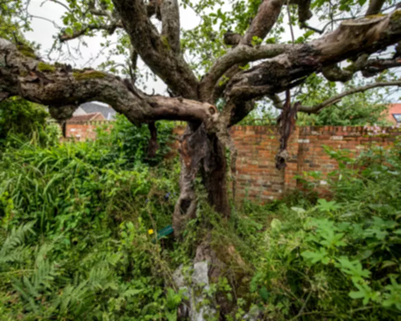 First Bramley Apple Tree Cottage Sold in Nottinghamshire