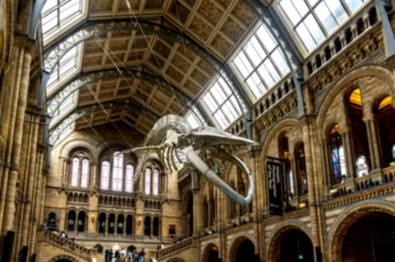 Free London Museum Named One of the World's Greatest Must-Visit Museums