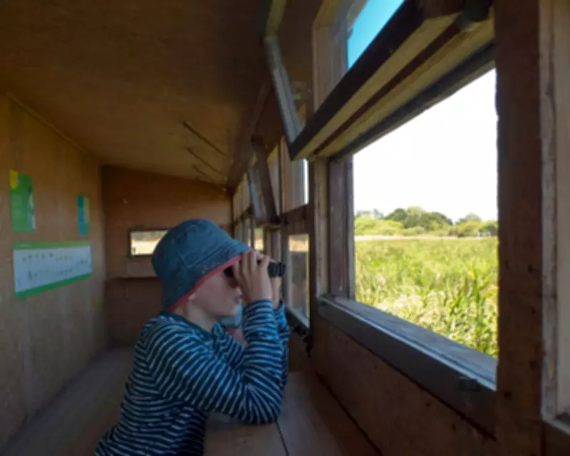 Gen Z Leads Birdwatching Boom as Hobby Sees 47% Rise in Britain