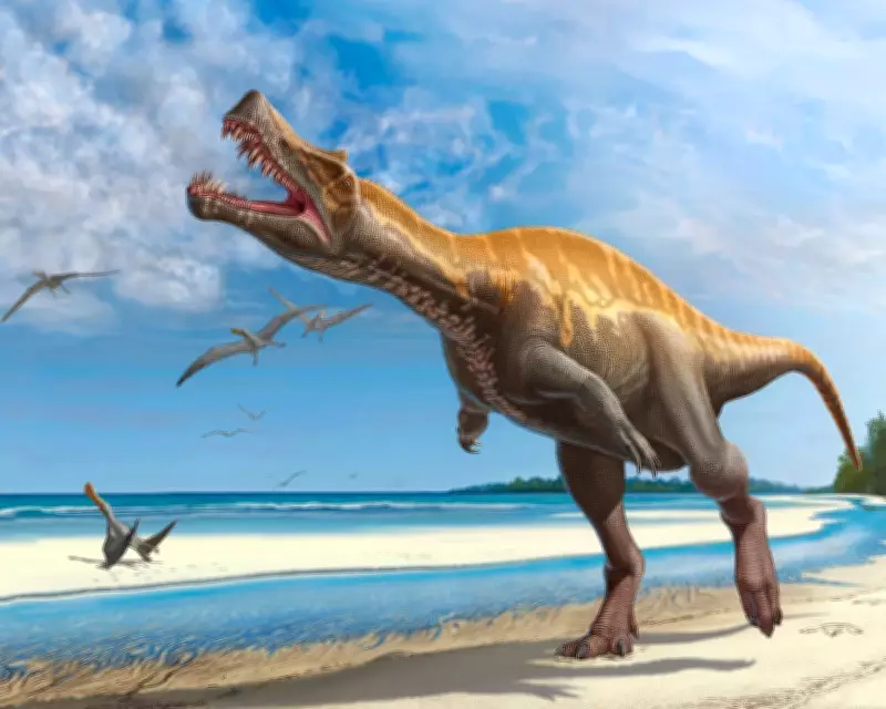 Germany to Return Rare Irritator Dinosaur Skull to Brazil After Decades