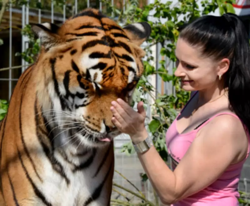Germany's 'Tiger Queen' Under Investigation After Deadly Escape