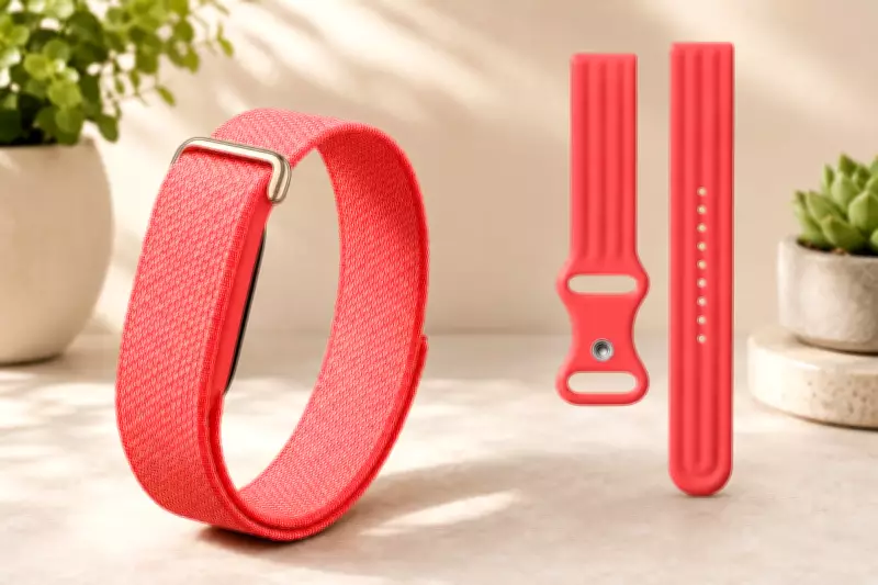 Google Fitbit Air Bundle on Amazon: Save Big on Fitness Tech