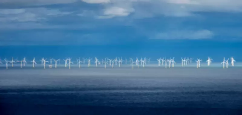 Green Transition Must Accelerate: Carbon Tax and Building Efficiency Key