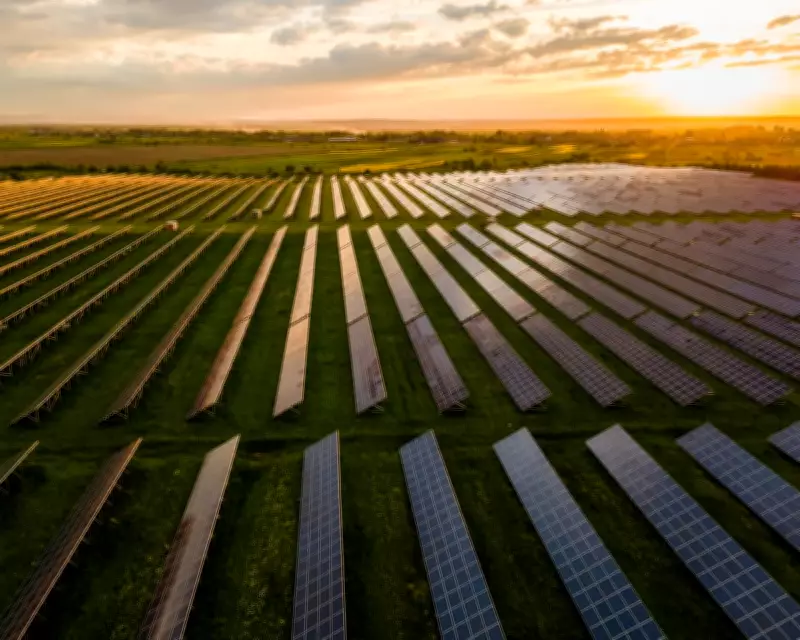 Green Transition: Politicians Must Accelerate Renewables, Households Too