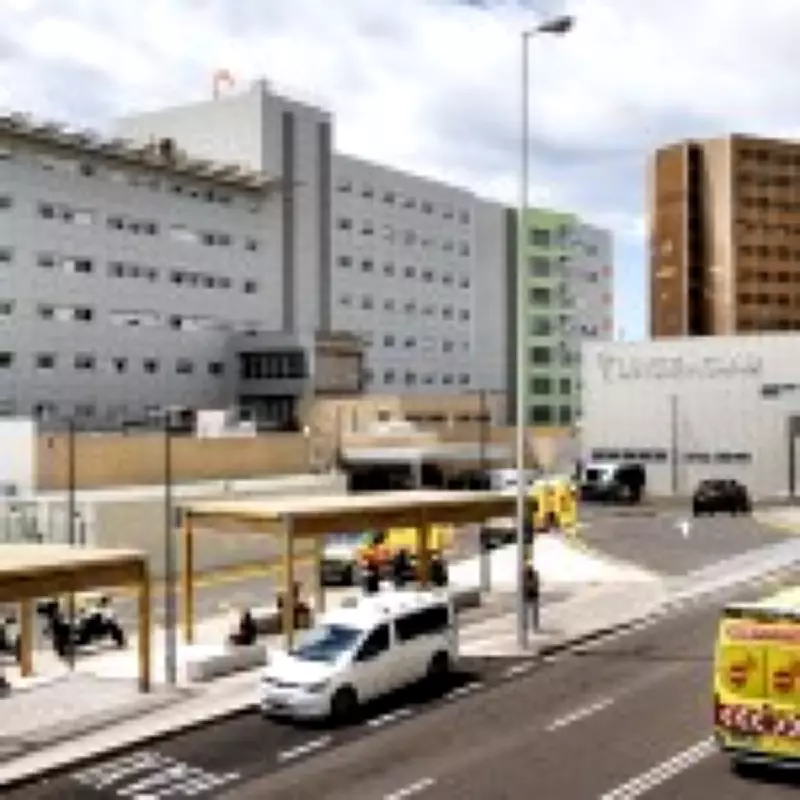 Hantavirus Cases Rise to Six as Brits Face 45-Day Hotel Isolation