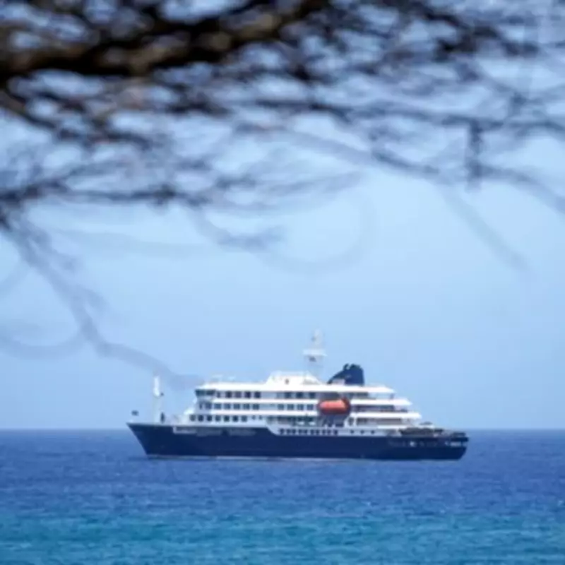 Hantavirus Expert Explains Risk to Public as Brits Self-Isolate After Cruise Ship Outbreak