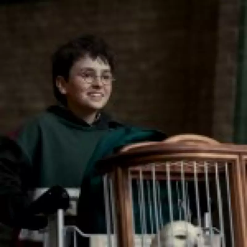 Harry Potter TV Show Microchips Props After Thefts on Set