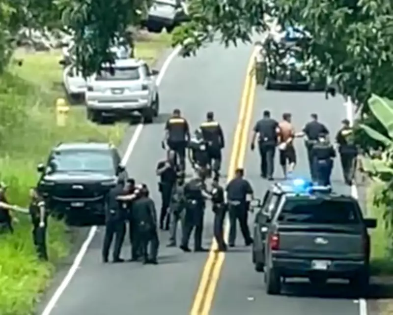 Hawaii Police Arrest Suspect in Triple Homicide Case