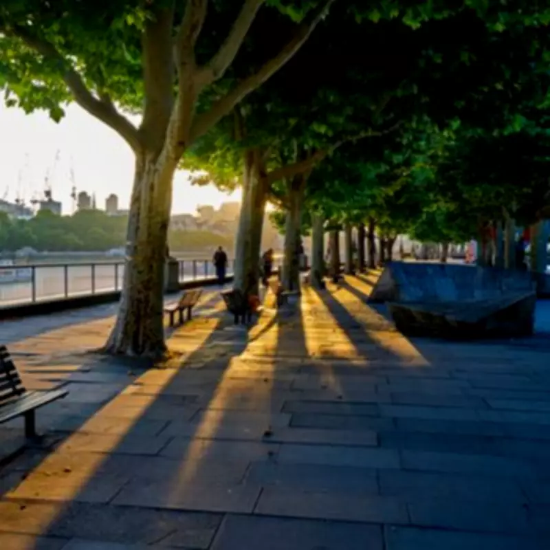 Hidden Central London Park Hardly Anyone Knows Is Open to Public