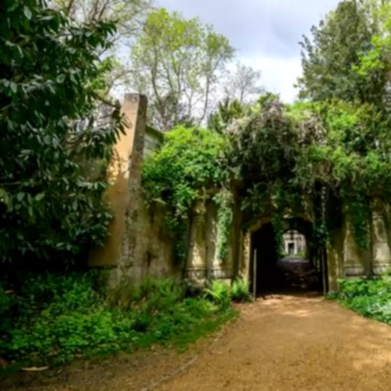 Highgate Cemetery Where George Michael Is Buried Gets £6.7m Grant