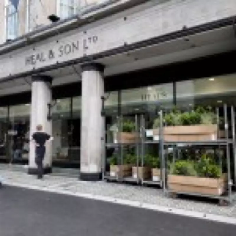 Hostile Greenery: London's Anti-Homeless Architecture Disguised as Planters