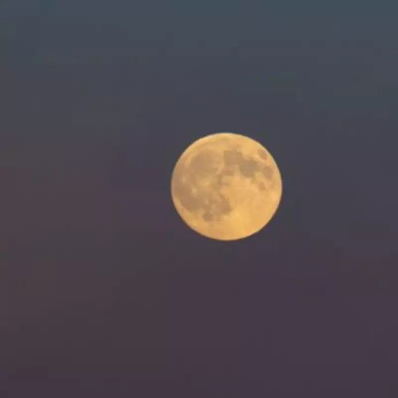 How to See the 'Flower Moon' in London's Skies Tonight