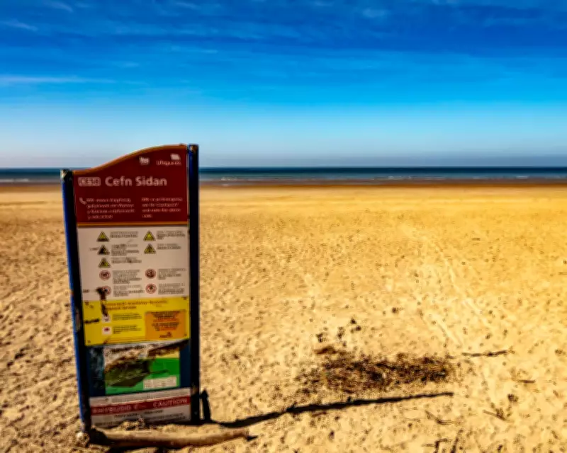 Hundreds of Dead Sharks and Fish Wash Up on Two Welsh Beaches