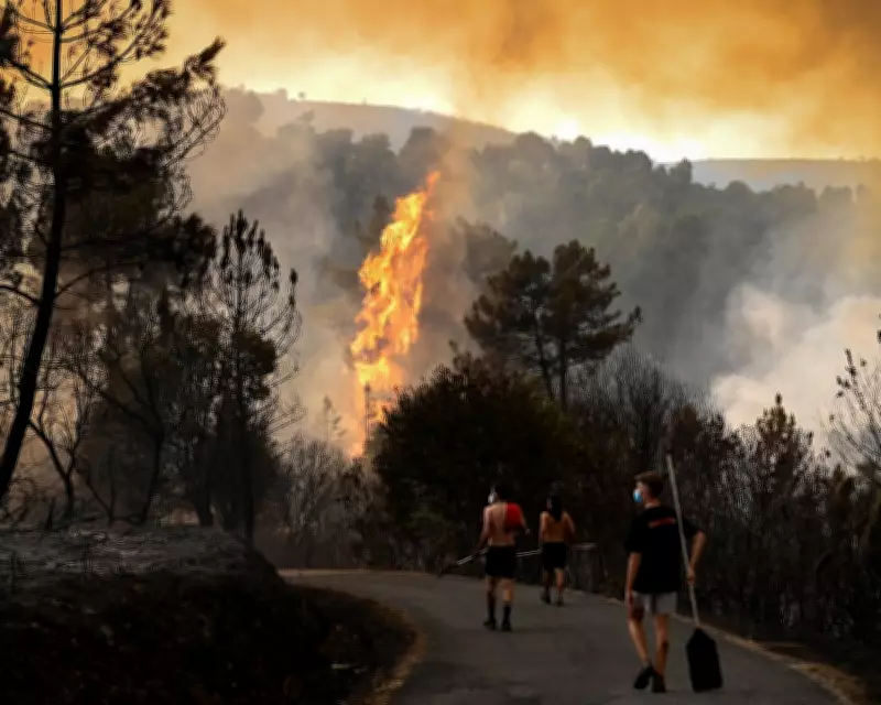 Inequality Causes 100,000 Extra Heat and Cold Deaths in Europe Yearly