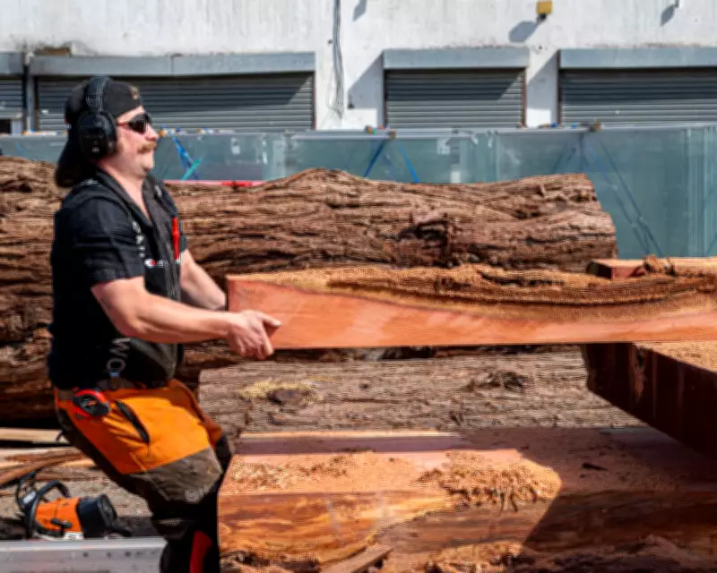 Inside Tipping Point East: London's Largest Hub Rescuing Building Materials from Landfill