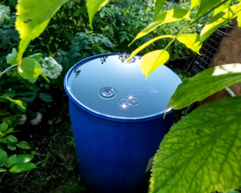 Is It Time to Stop Watering Our Gardens? Expert Advice