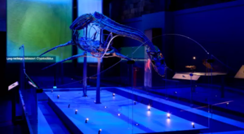 Jurassic Oceans: Monsters of the Deep at NHM – A Thrilling Dive into Prehistoric Seas