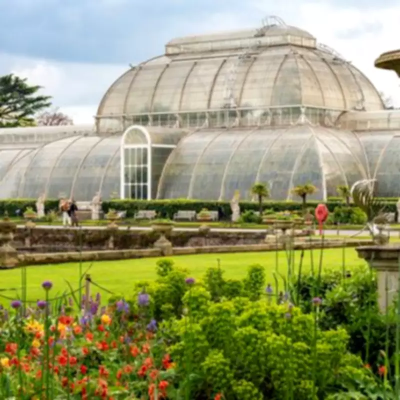 Kew Gardens Named UK's Best Spring Garden with 50,000 Plants