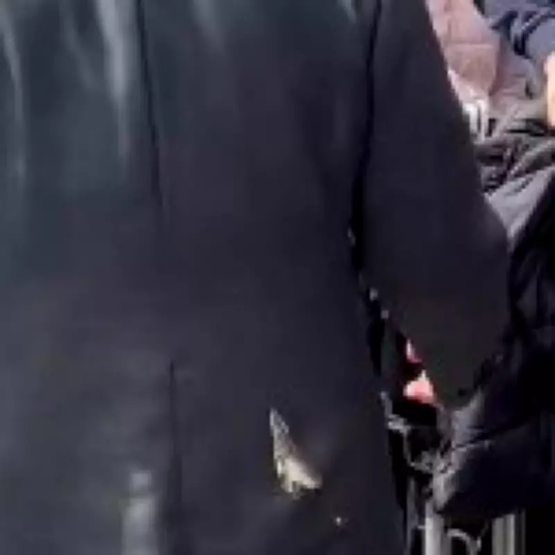 King Charles Pooped On by Seagull While Queen Pours Pint in Northern Ireland