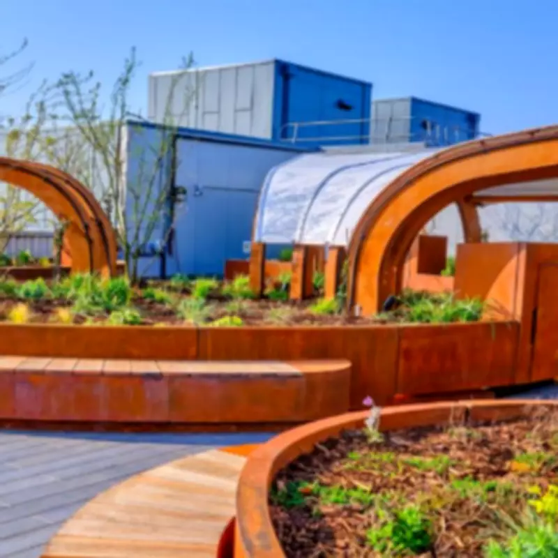 King's College Hospital Opens UK's First Rooftop Garden for ICU Patients