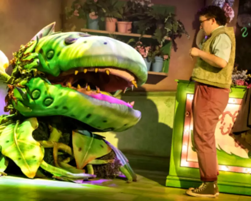 Little Shop of Horrors Review: A Mixed Bouquet of Kooky Romance and B-Movie Fun
