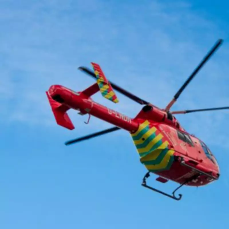 London Bus Driver Critical After Assault on Battersea Bridge