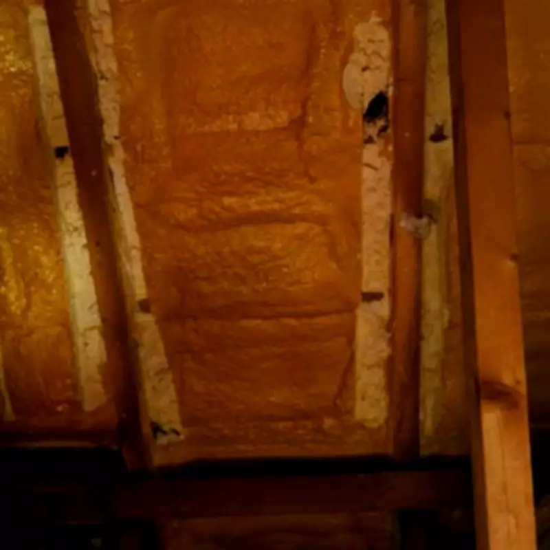 London gran trapped in home after £13k rogue insulation job leaves £20k bill