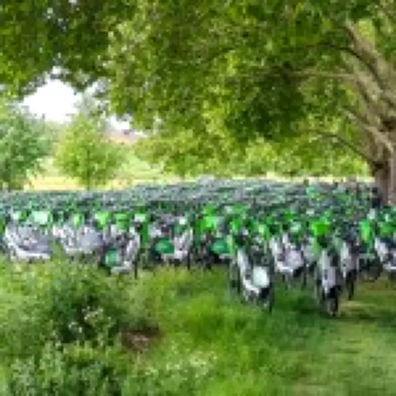 London Park Flooded with Lime Bikes After Hackney Half Marathon