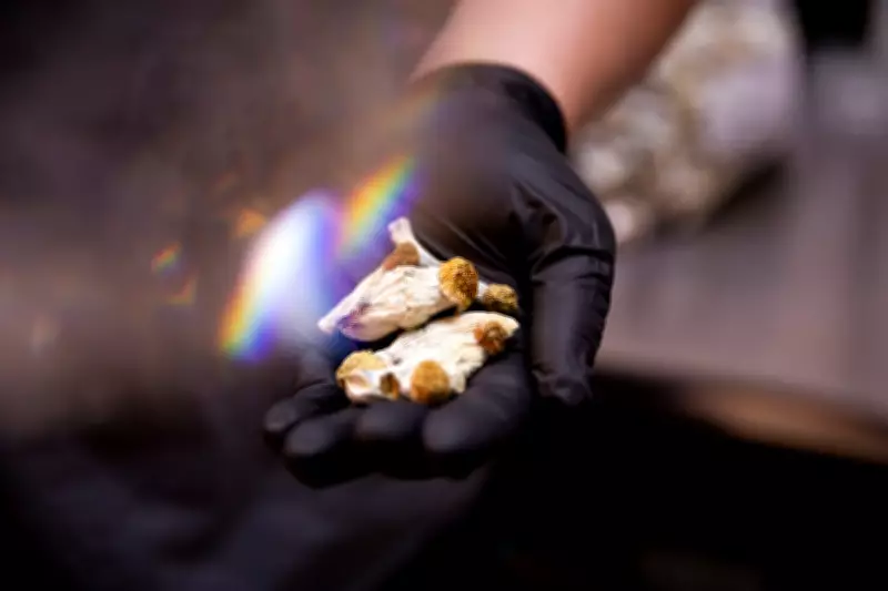 Magic Mushrooms Show Promise for Cocaine Addiction in New Trial