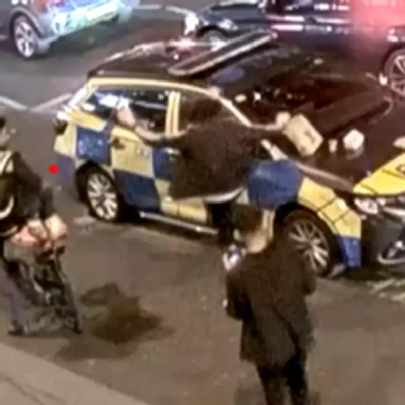 Man fined for eating takeaway on police car bonnet in London