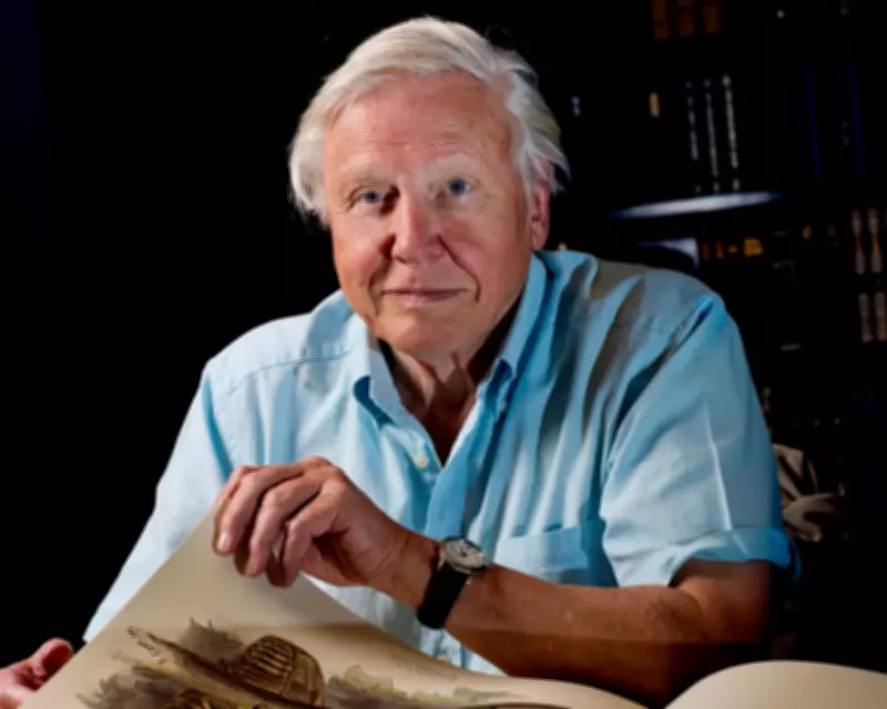 Memories of David Attenborough as He Turns 100: Chance Encounters and Lifelong Inspiration
