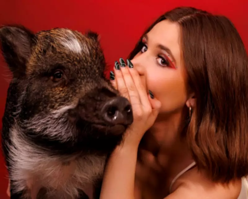 Merlin the Sassy Pig Helped Me Meet My Husband and Changed My Life