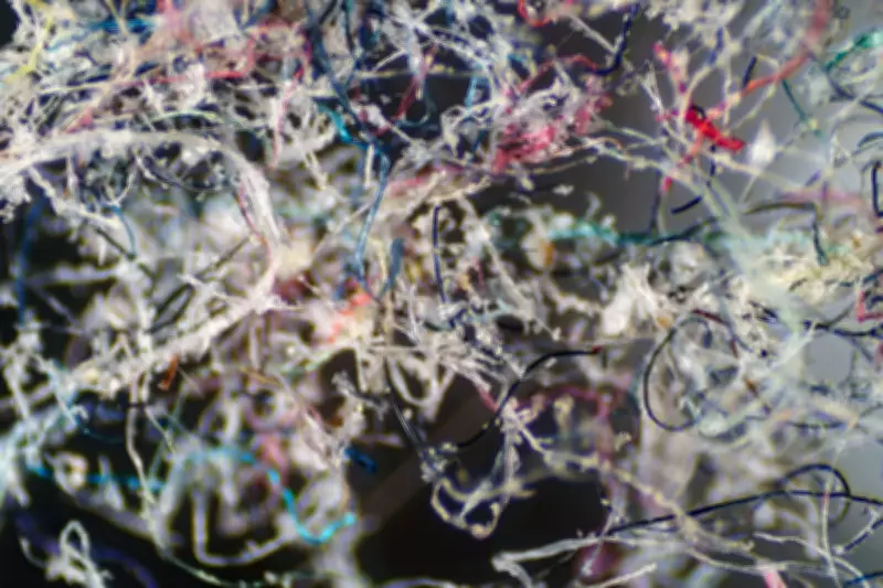 Microplastic Filter Traps 97% of Washing Machine Fibres, But Is It Enough?
