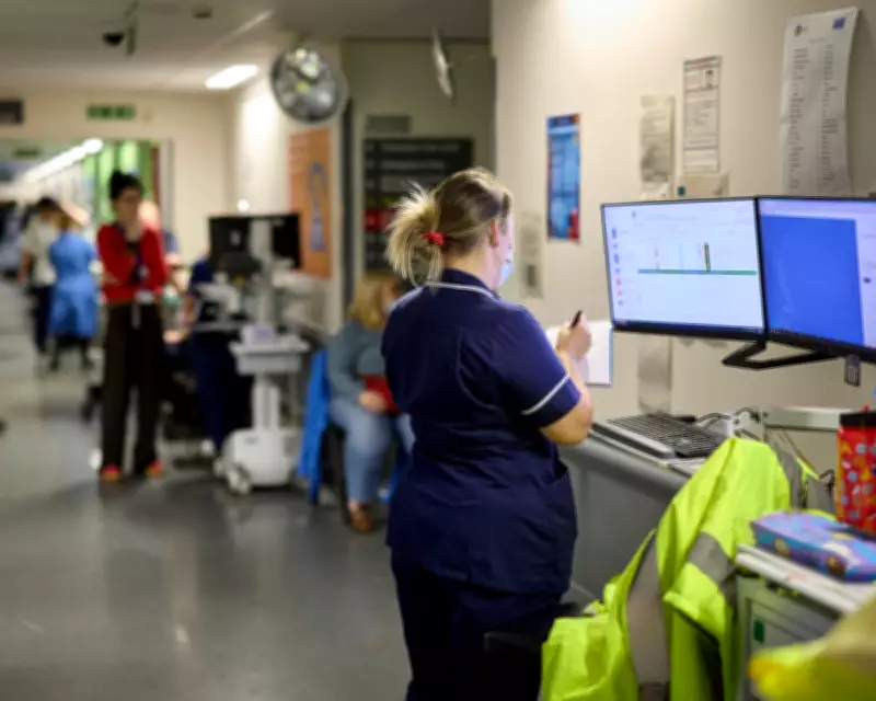 MPs Warn Palantir Access to NHS Patient Data is 'Dangerous'