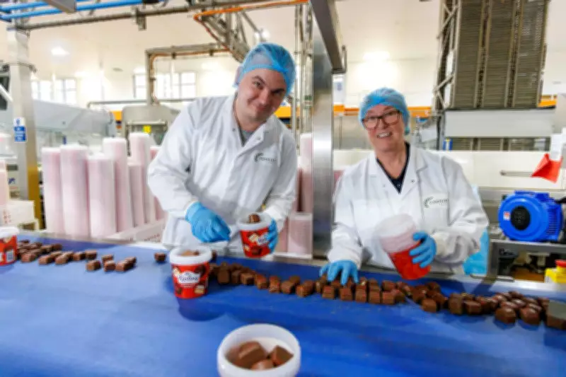 Mr Kipling's biggest year boosts Premier Foods profit above forecasts
