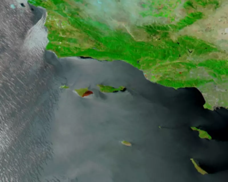 Nasa Images Reveal Wildfire Devastation on 'Galapagos of California' Island
