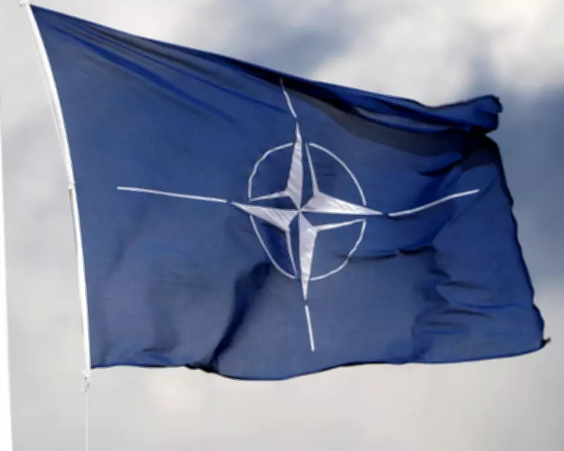 Nato Secretly Courts Film and TV Writers for Propaganda, Critics Claim
