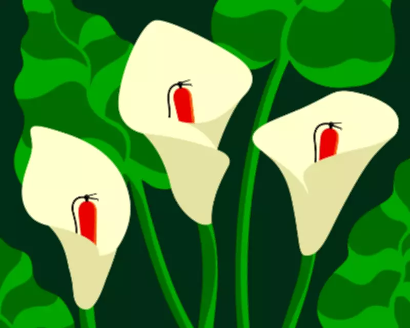 Nature’s Feedback Loops: The Hidden Key to Climate Recovery
