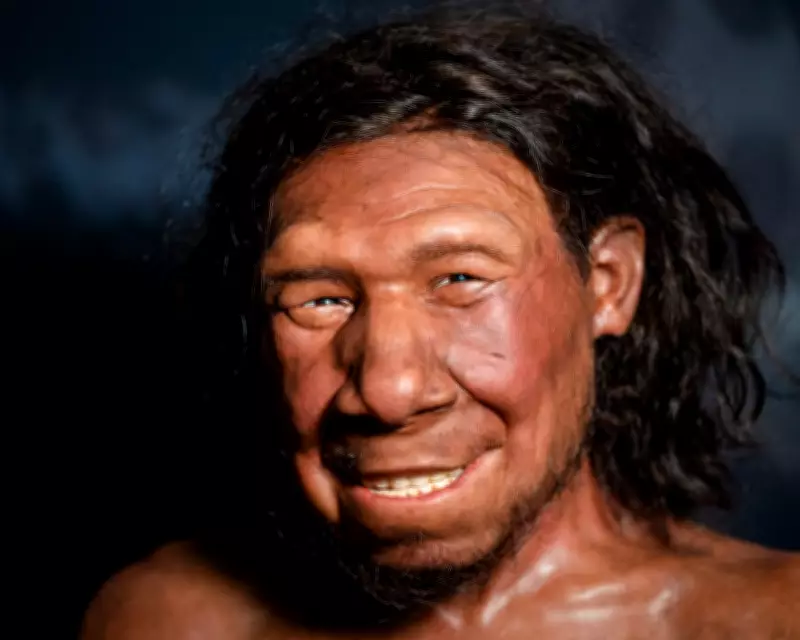 Neanderthal Used Stone Drill for Cavity 59,000 Years Ago, Tooth Shows