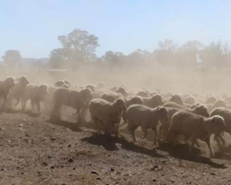 NSW Faces Second-Driest April on Record as El Niño Threat Looms