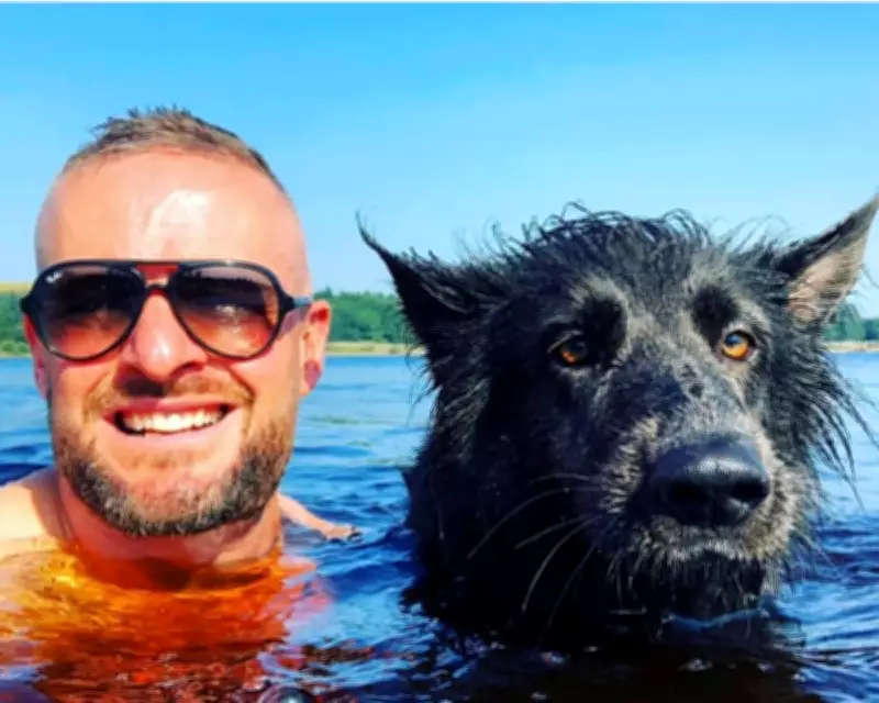 Nya the Therapy Dog: A German Shepherd Bringing Joy and Calm to Rail Travelers