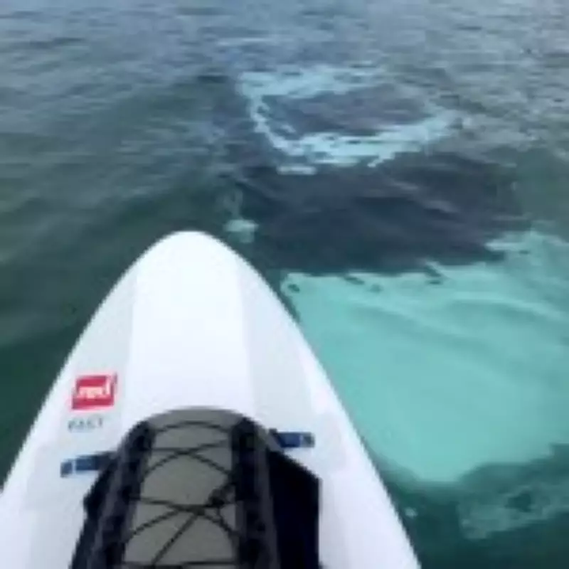 Paddleboarder Discovers Sunken Land Rover Near Bear Grylls' Island