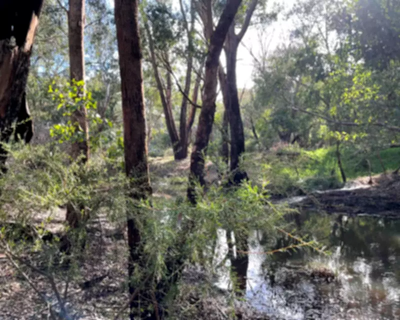 Perth Data Centre Withdrawn After Community Backlash