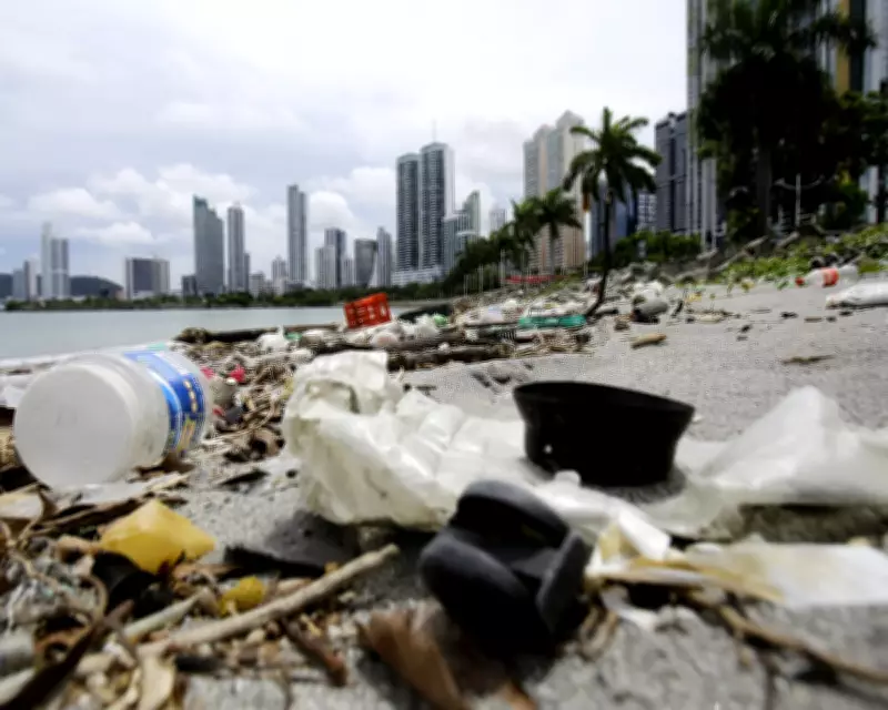 Plastic Food Packaging Dominates Global Coastal Litter, Study Finds